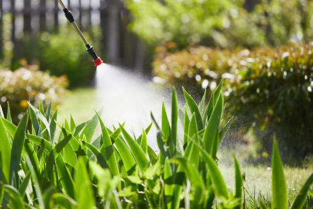 24/7 Emergency Mosquito Control experts in Eagle Point, OR