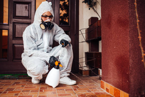Reliable Mosquito Control contractor in Eagle Point, OR by Show Me Pest Control